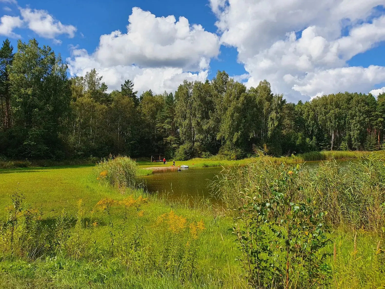 Lake Martiņu on a sunny day