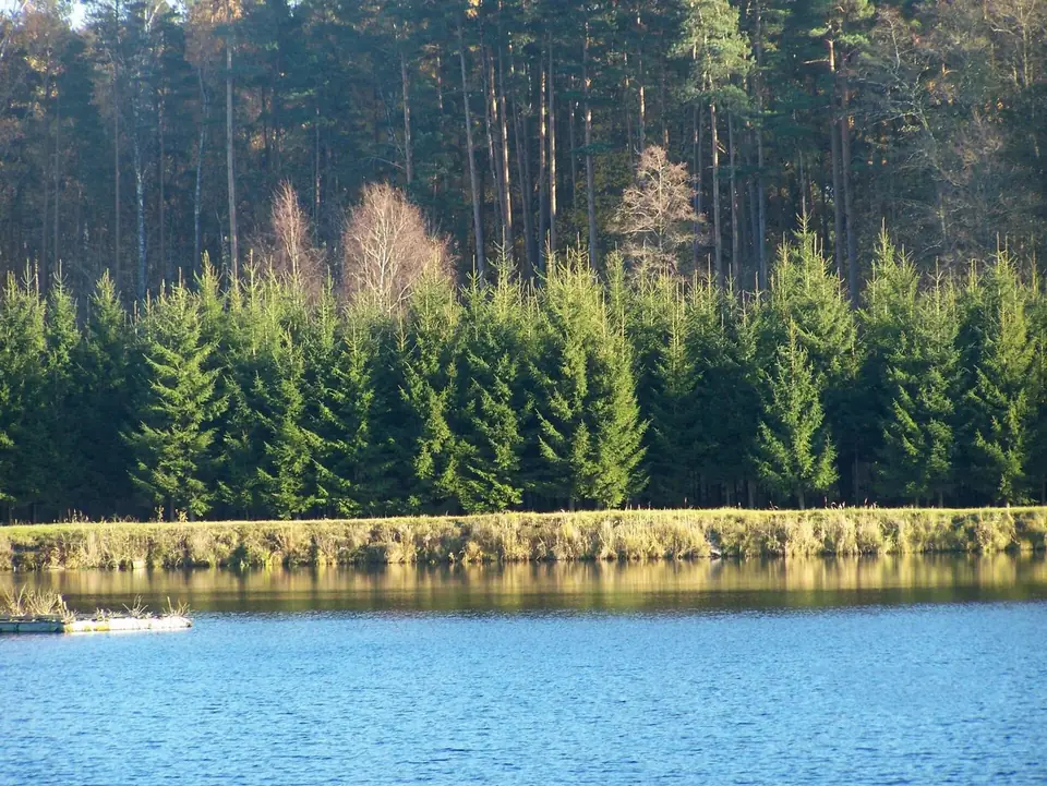 A boat on the lake